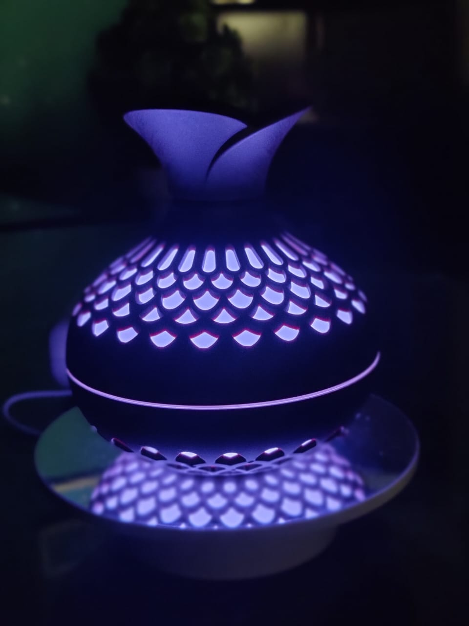 Flora Air Humidifier – Flower Humidifier - Cool Mist Diffuser for Bedroom, Office & Car | Adnan Tech